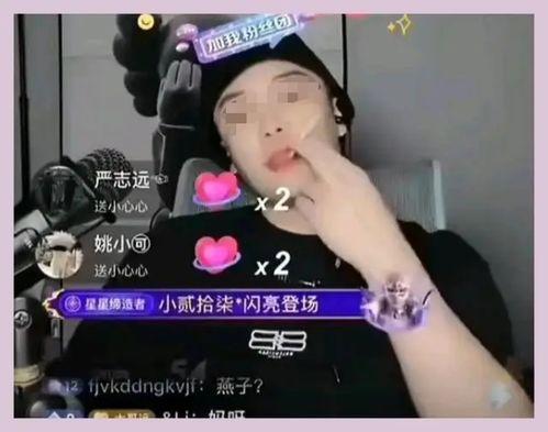 网红黑料视频,视频背后的真相与反思